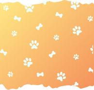 category